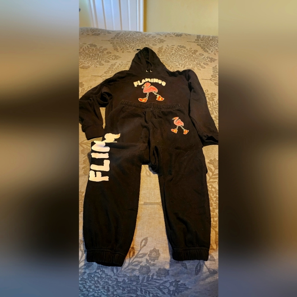 Flamingo set pants size small and hoodie size M
